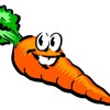 Какая польза от моркови