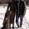 Мендваев Роман