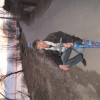 Цимбал Николай